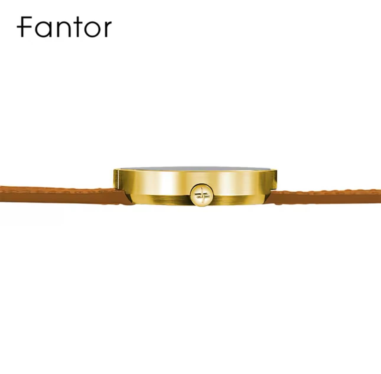 Fantor